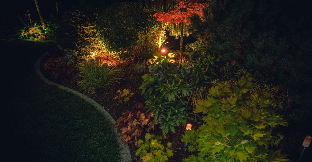 Landscape Lighting