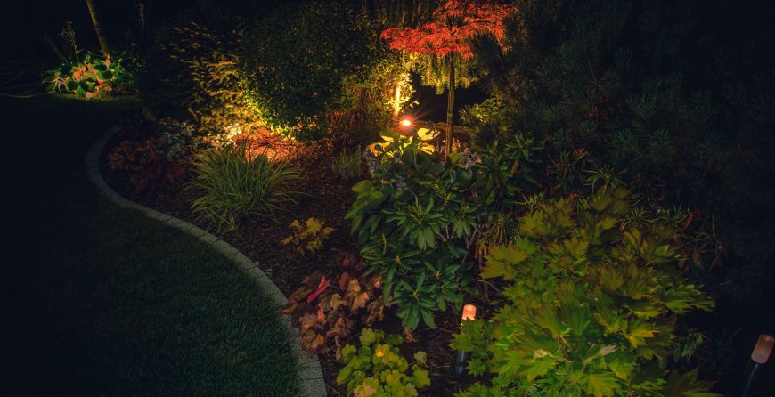 Landscape Lighting