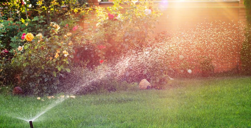 Sprinkler turned on in a garden