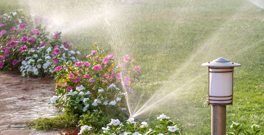 Flower bed with sprinkler system, Southern Ontario