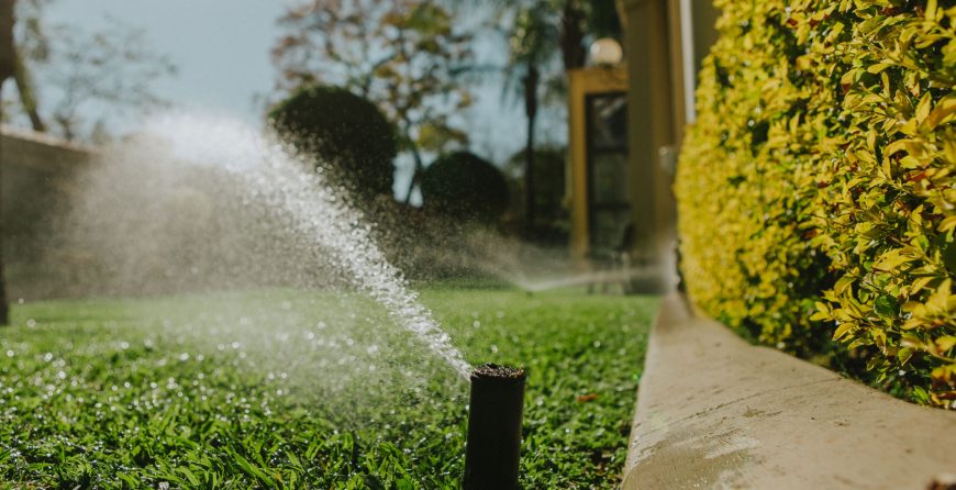 Irrigation sprinkler in Guelph