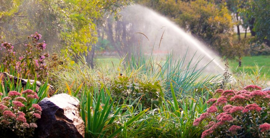 Sprinkler system in a garden bed