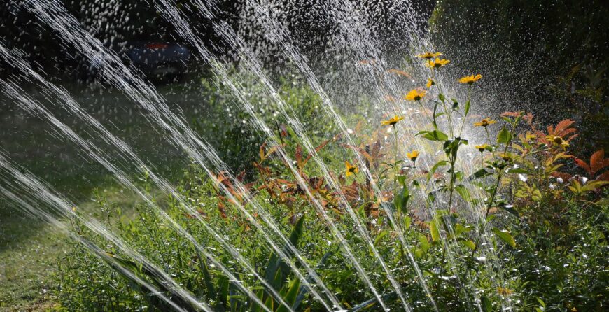 Sprinkler System Automatic Setup in Brantford
