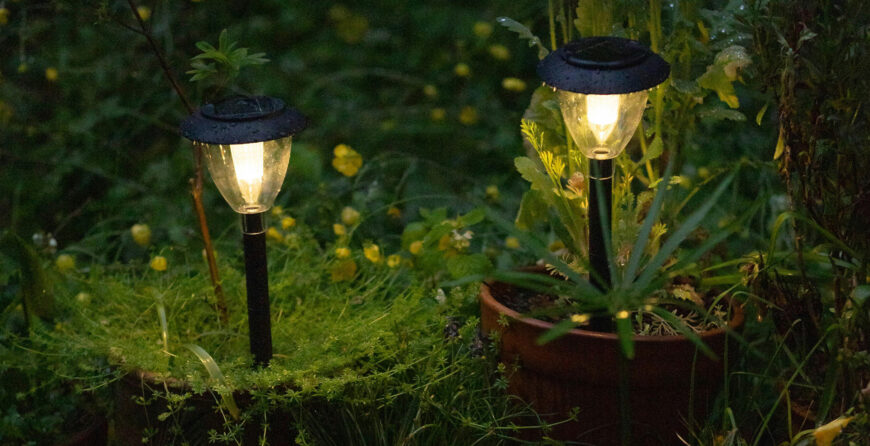 Two solar lights in a Canadian garden